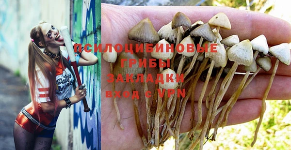 мет Баксан