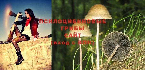 ешки Аркадак