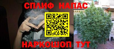 тгк Дубна