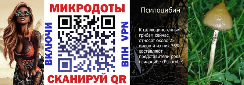 hydra ССЫЛКА  где найти   Новый Уренгой  Псилоцибиновые грибы мицелий 