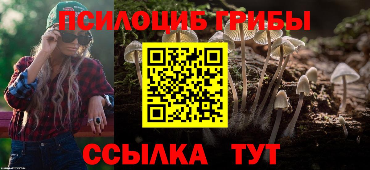 закладка  Галлюциногенные грибы GOLDEN TEACHER  Галлюциногенные грибы GOLDEN TEACHER  Вход с VPN  Новый Уренгой 